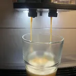 Vibe Loft Free Drink Daily By Zazi *