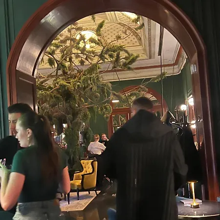 Vibe Loft Free Drink Daily By Zazi *